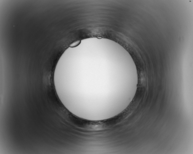 X0000089740514200707201904