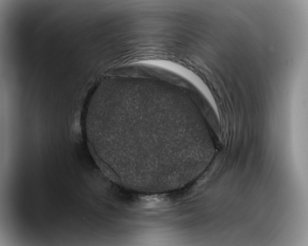 X0000089740516200707201904