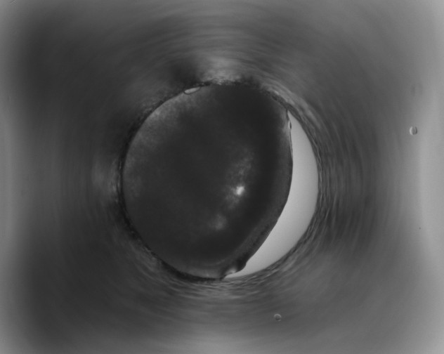X0000089740517200707201904