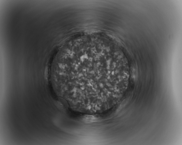 X0000089740519200707201904
