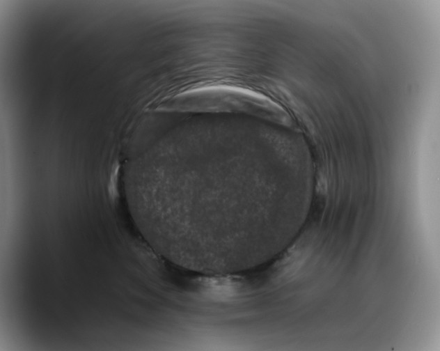 X0000089740524200707201904