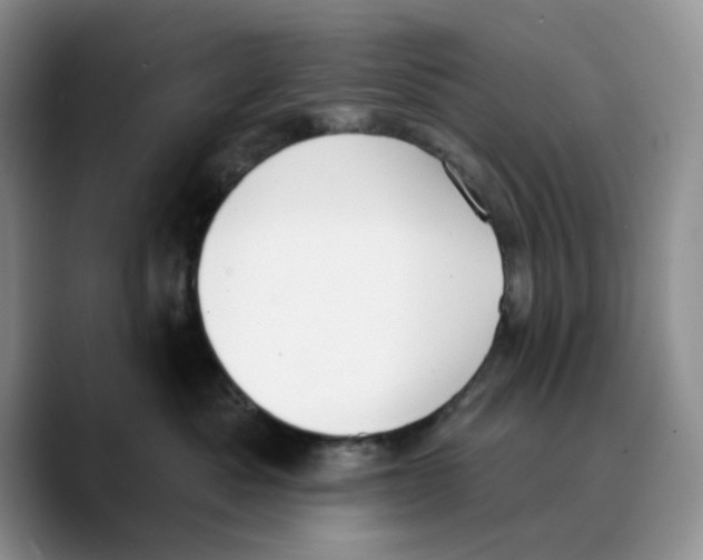 X0000089740525200707201904