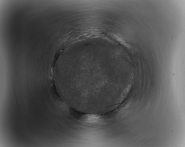 X0000089740528200707201904