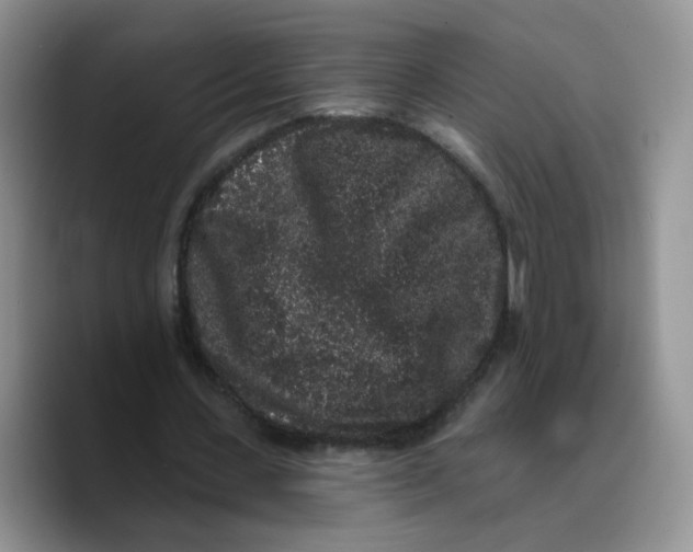 X0000089740531200707201904