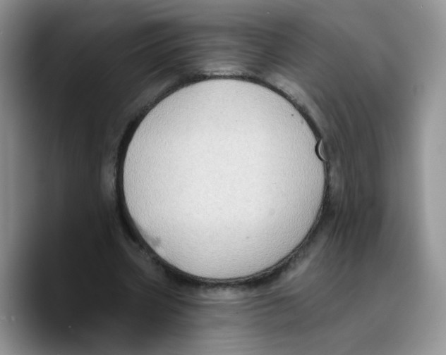 X0000089740533200707201904