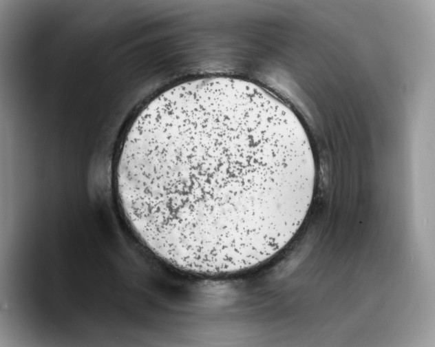 X0000089740534200707201904
