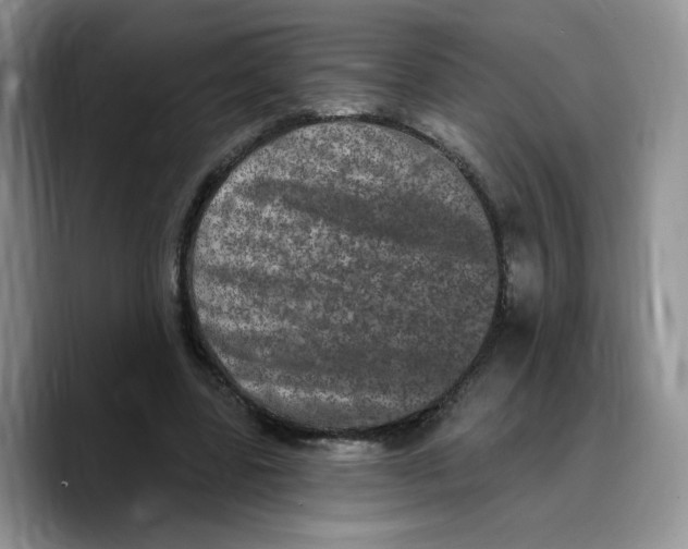 X0000089740539200707201904