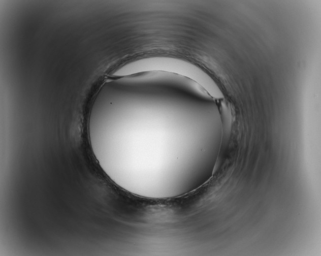 X0000089740544200707201904