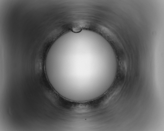 X0000089740546200707201904