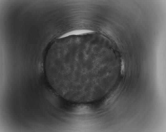 X0000089740547200707201904