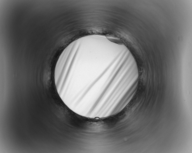 X0000089740548200707201904