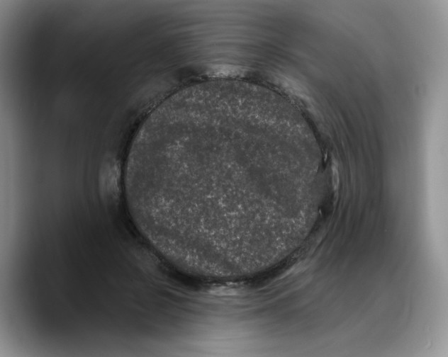 X0000089740550200707201904