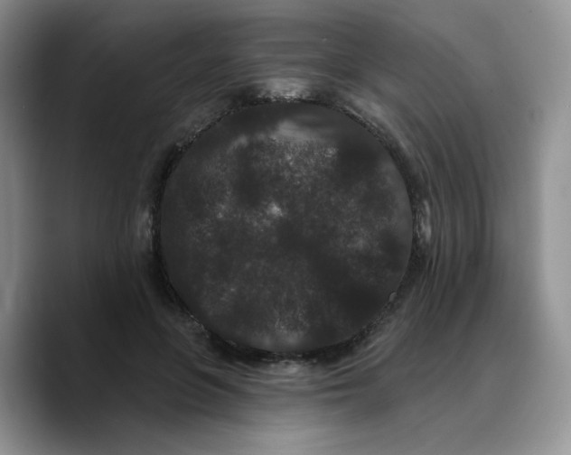 X0000089740551200707201904