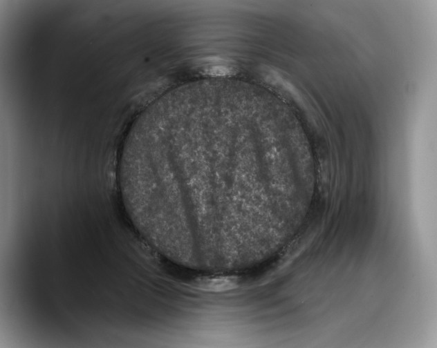 X0000089740553200707201904