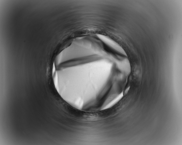X0000089740559200707201904
