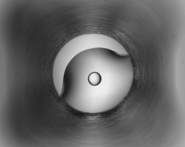 X0000089740560200707201904