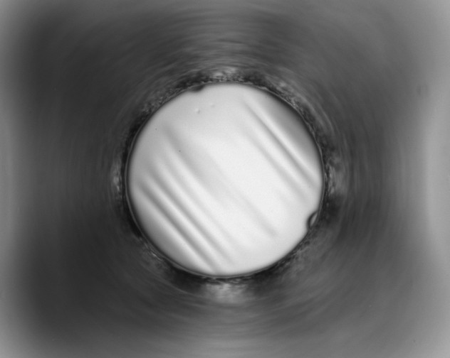 X0000089740561200707201904