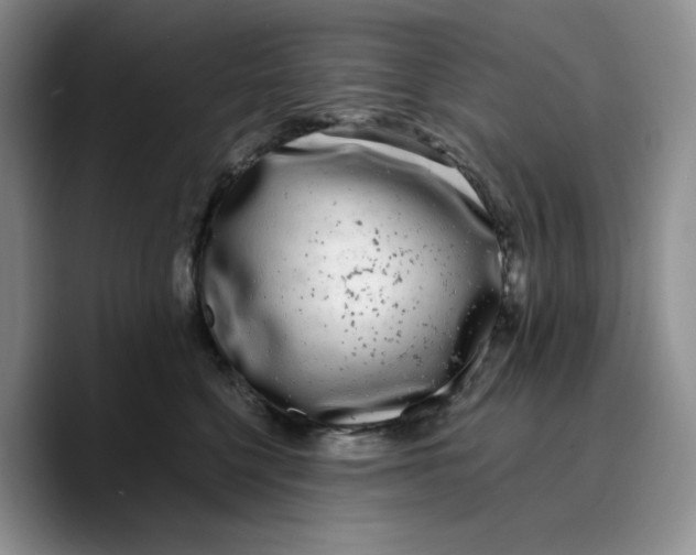 X0000089740568200707201904