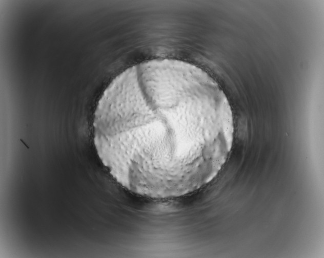 X0000089740569200707201904