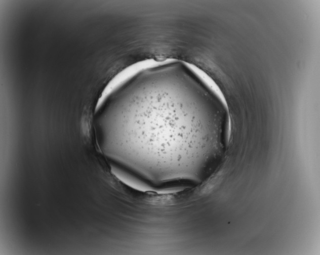 X0000089740576200707201904