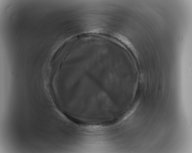 X0000089740577200707201904