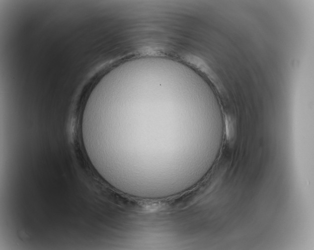 X0000089740579200707201904