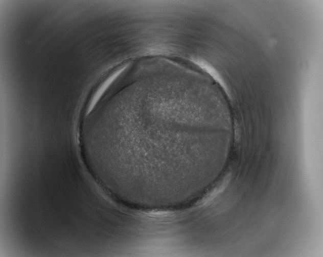 X0000089740581200707201904