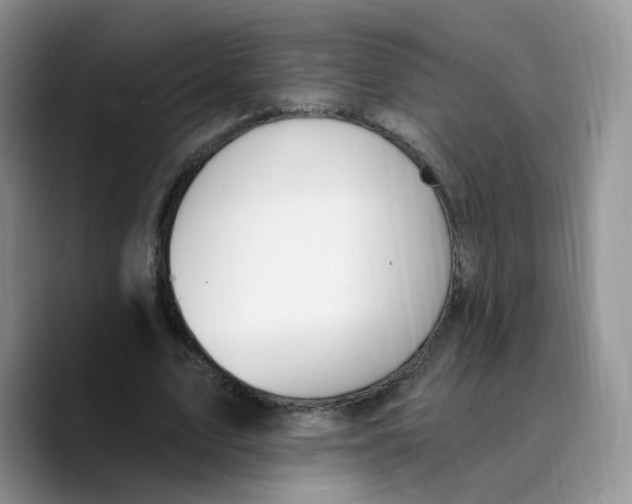 X0000089740583200707201903