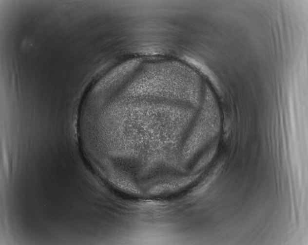 X0000089740585200707201903