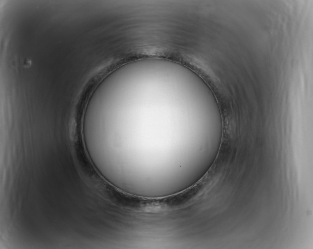 X0000089740587200707201903