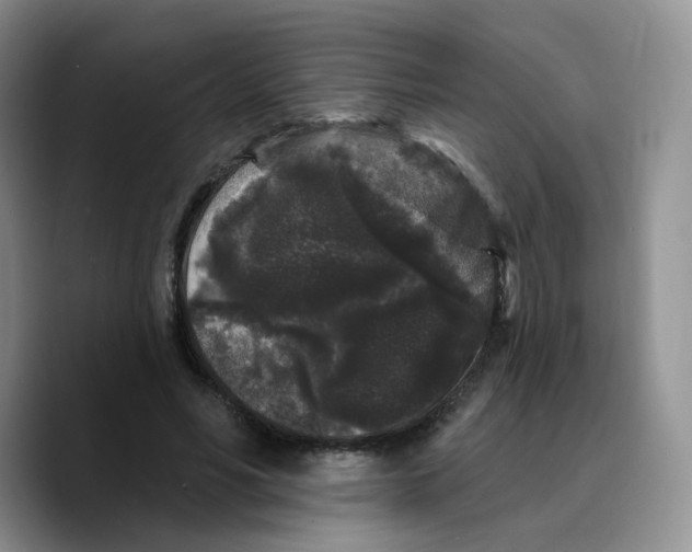 X0000089740590200707201903