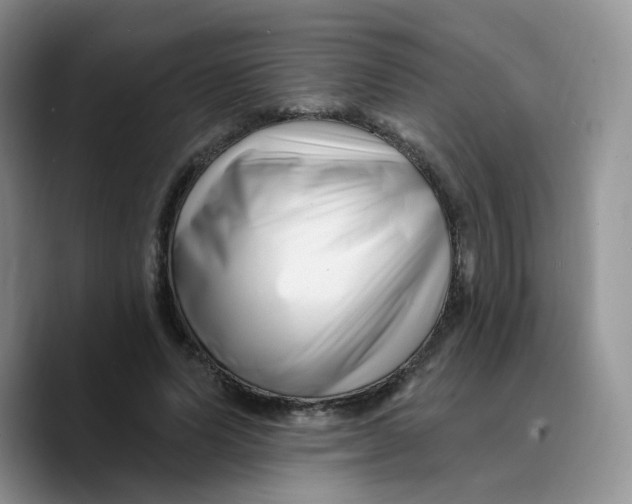 X0000089740591200707201903