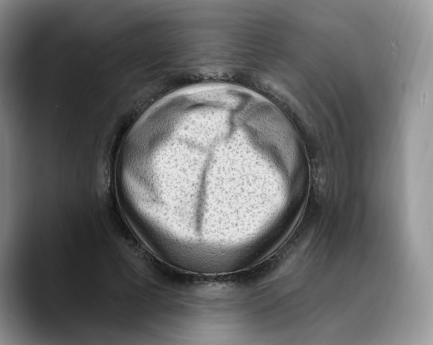 X0000089740593200707201903