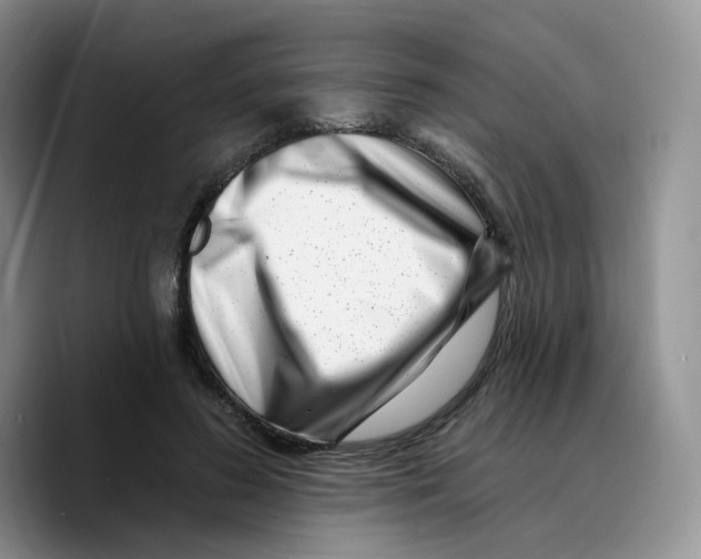 X0000089740596200707201903