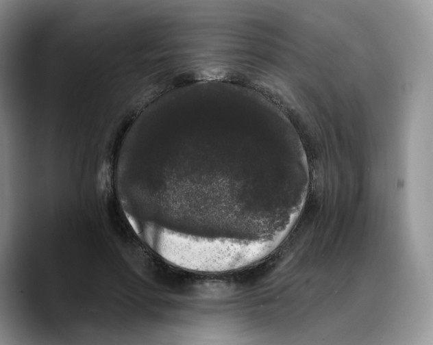 X0000089740598200707201903