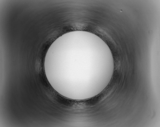 X0000089740599200707201903