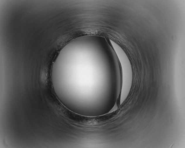 X0000089740600200707201903