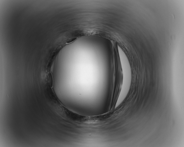 X0000089740601200707201903