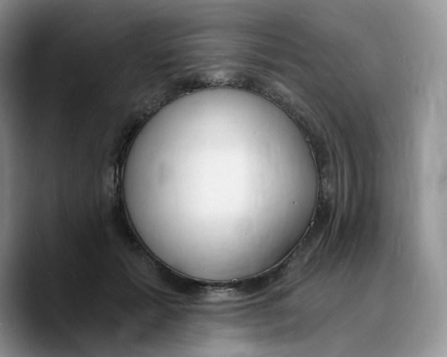 X0000089740605200707201903