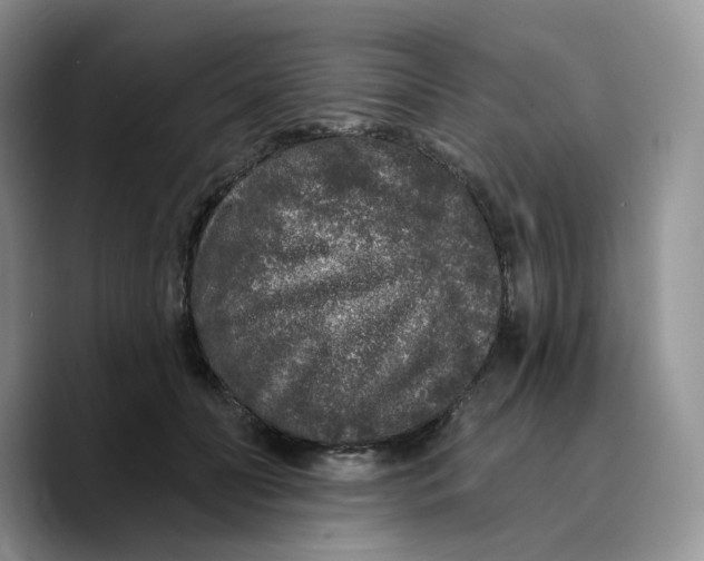 X0000089740606200707201903