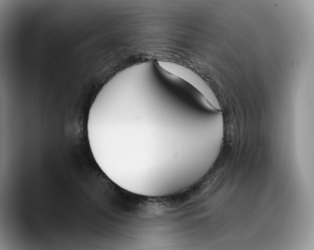 X0000089740608200707201903