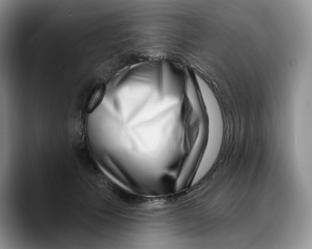 X0000089740609200707201903