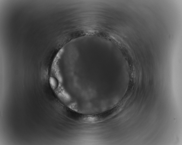 X0000089740610200707201903