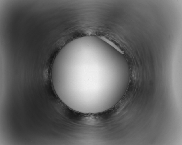 X0000089740611200707201903