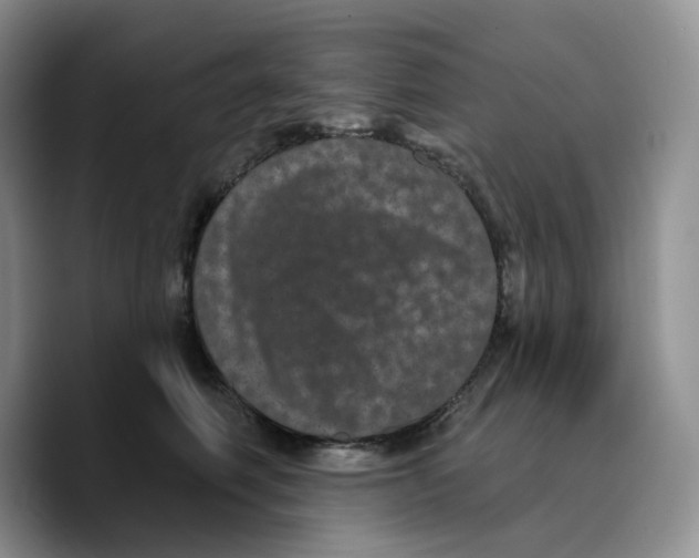 X0000089740614200707201903