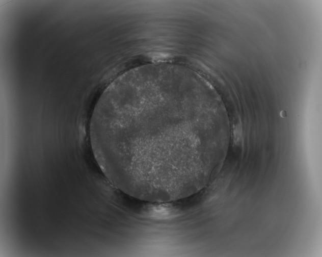 X0000089740618200707201903