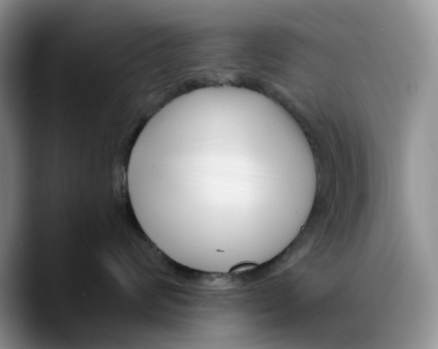 X0000089740624200707201903