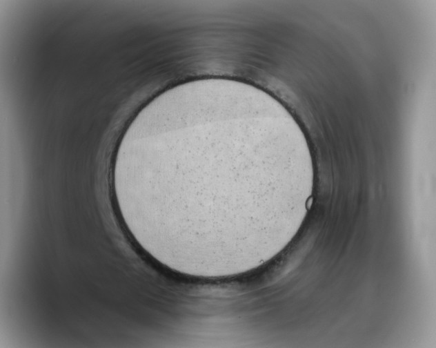 X0000089740625200707201902