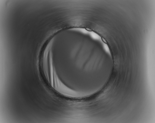 X0000089740626200707201902
