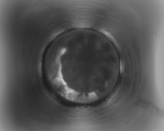 X0000089740627200707201902